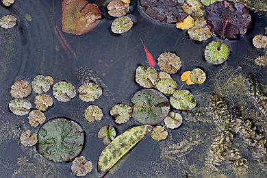 网传《死亡岛2》将于2022年第四季度重新公布